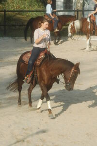 Kopie von Fohlen und Anderes 2006 069