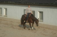 Kopie von Fohlen und Anderes 2006 071