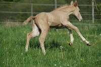 Jetzt geht die Post ab