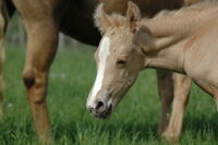 Ui war das anstrengend