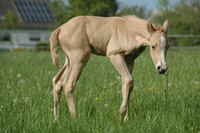Langsam werd ich m&uuml;de