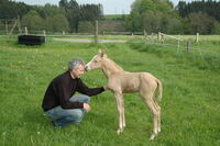 Ha mein Kumpel Molly