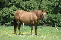 Rafter L Sonita Bell